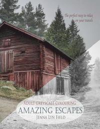 bokomslag Amazing Escapes