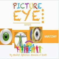 bokomslag Anatomy: Picture Eye Book