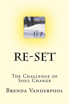 bokomslag Re-Set: The Challenge of Soul Change