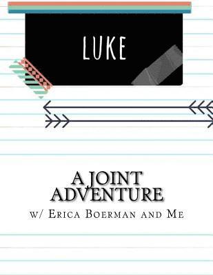 bokomslag A Joint Adventure in Luke