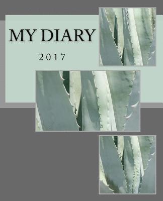 bokomslag My Diary: 2017