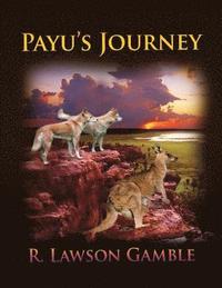 bokomslag Payu's Journey