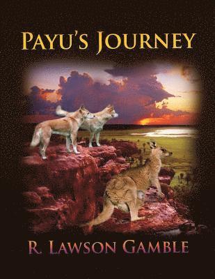 Payu's Journey 1