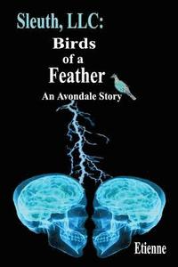 bokomslag Sleuth, LLC: Birds of a Feather: An Avpndale Story