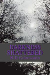 bokomslag Darkness Shattered