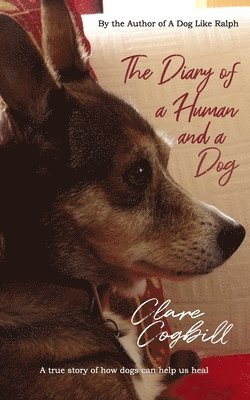 bokomslag Diary of a Human and a Dog (or Three)