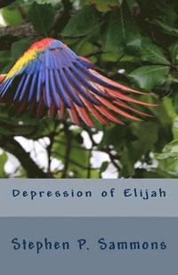 bokomslag Depression of Elijah: On Depression and Renewal in Christian Service