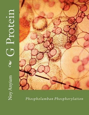 bokomslag G Protein: Characterisation of phospholamban phosphorylation in response to beta1-adrenoceptor stimulation in cardiac H9c2 myocyt