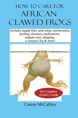 How to Care for African Clawed Frogs 1