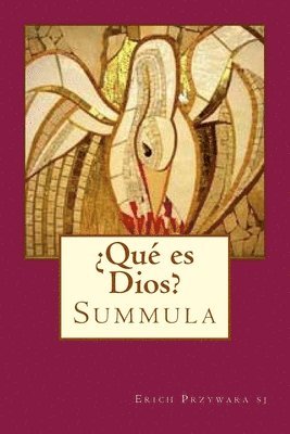 ¿Qué es Dios?: Summula 1