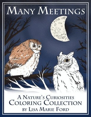 Many Meetings: A Nature's Curiosities Coloring Collection 1