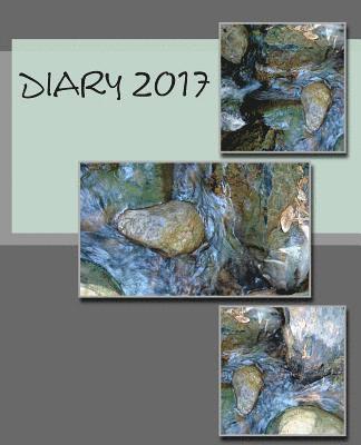 bokomslag Diary 2017