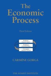 bokomslag The Economic Process: An Instantaneous Non-Newtonian Picture Third Edition