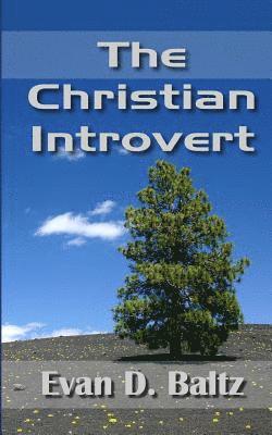 The Christian Introvert 1