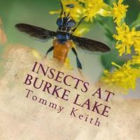 bokomslag Insects At Burke Lake: A Picture Book For Children Of All Ages