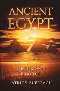 bokomslag Ancient Egypt: The Reign Of King Tut