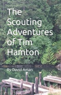 bokomslag The Scouting Adventures of Tim Hamton