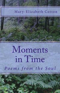 bokomslag Moments in Time: Poems from the Soul