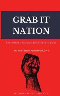 bokomslag Grab It Nation