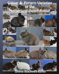 bokomslag Colour & Pattern Varieties of the Netherland Dwarf Rabbit