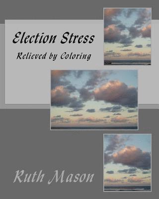 Ruth Mason - Election Stress, Häftad