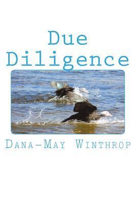 Due Diligence 1