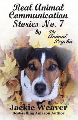 bokomslag Real Animal Communication Stories No. 7: by The Animal Psychic