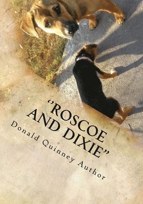 Donald James Quinney - ''Roscoe and Dixie'': The Lost, The Journey, and the way home., Häftad