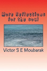 bokomslag More Reflections for the soul
