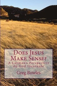 bokomslag Does Jesus Make Sense?: A Layman's Perspective on God Incarnate