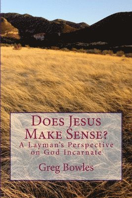 Does Jesus Make Sense?: A Layman's Perspective on God Incarnate 1