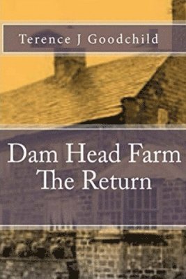 bokomslag Dam Head Farm The Return