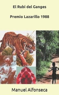 bokomslag Rubí del ganges