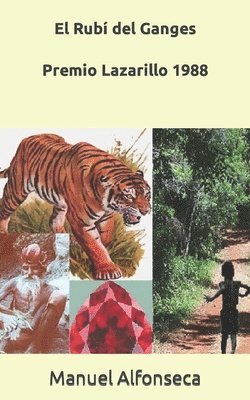 bokomslag Rubí del ganges