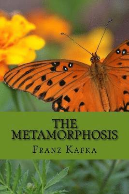 bokomslag The Metamorphosis