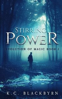 bokomslag Stirring Power
