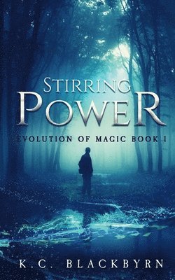 bokomslag Stirring Power