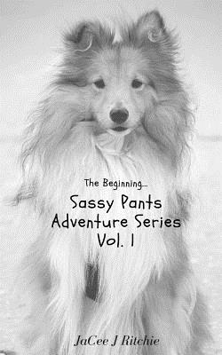 Jacee J. Ritchie - The Beginning..., Häftad