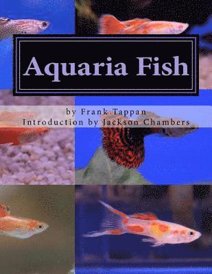 bokomslag Aquaria Fish: Management and Care of Aquarium Fish