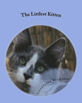 Genevieve Belmaker - The Littlest Kitten: The true story of one Jerusalem kitten's struggle to survive, Häftad
