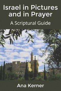 bokomslag Israel in Pictures and in Prayer: A Scriptural Guide