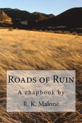 bokomslag Roads of Ruin