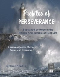 bokomslag Profiles of Perseverance