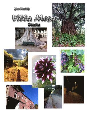 Joe Forte's Villa Mesa Italia 1