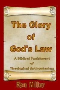 bokomslag The Glory of God's Law: A Biblical Punishment of Theological Antinomianism