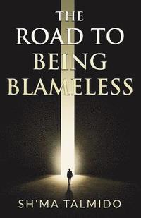 bokomslag The Road To Being Blameless