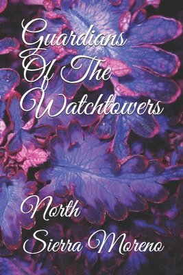 bokomslag Guardians Of The Watchtowers: North