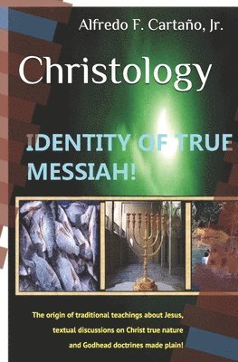 bokomslag Christology: Identity of true Messiah!