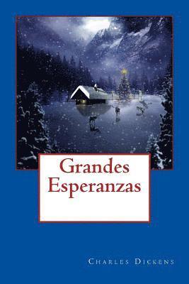 bokomslag Grandes Esperanzas