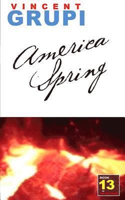 Vincent Grupi - American Spring, Häftad